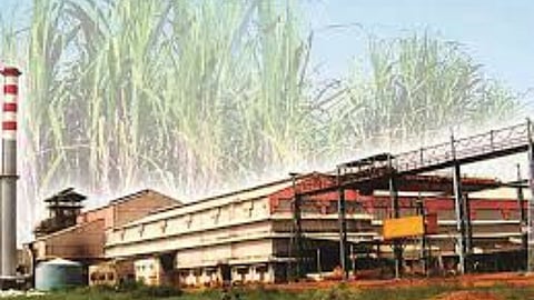  sugar factory election 