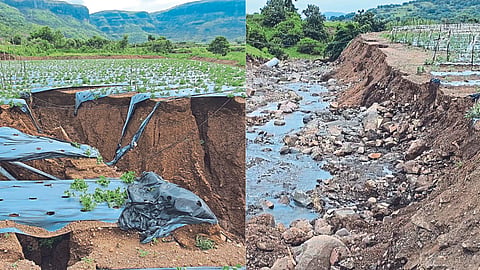 Sinnar Flood Crop Damage