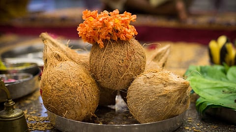 Coconuts