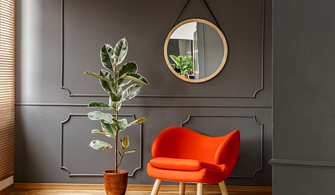 Vastu Tips : घरातील आरसाही चमकवेल तुमचं नशीब; कोणत्या दिशेला लावायचा पहा