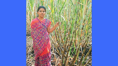 sangli
