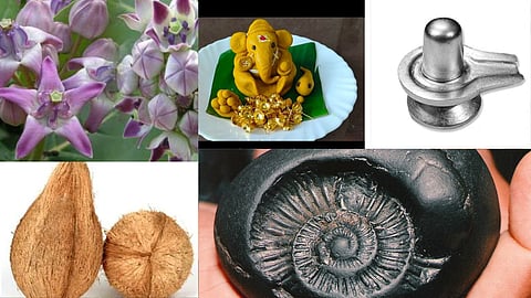 vastu tips