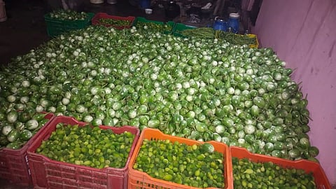 Bhandara 