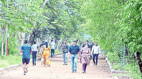 Walking Nashikkars
