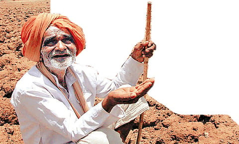 farmer 