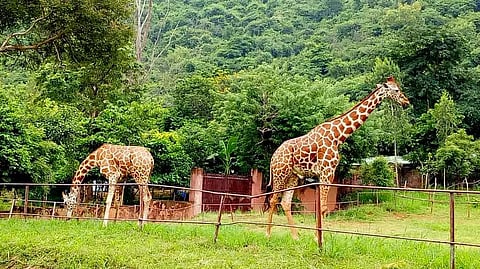 Tourism news