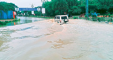 nagpur