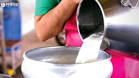 cow milk