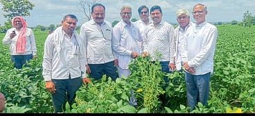 Agriculture  