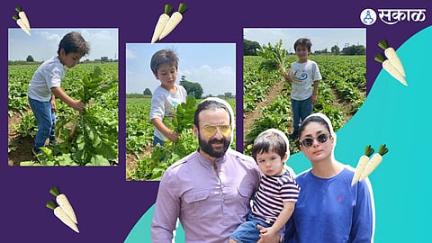 Taimur Ali Khan