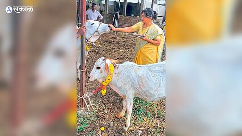 Vasu Baras 2022