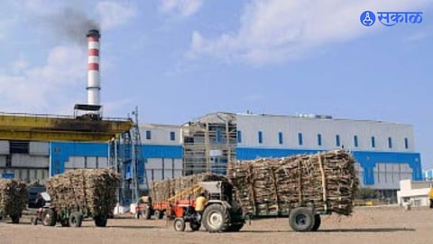 sugar stock