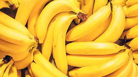 Jalgaon Banana 
