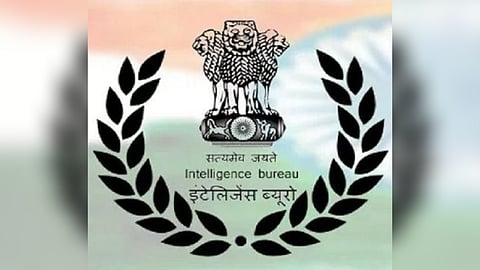 Government Job 