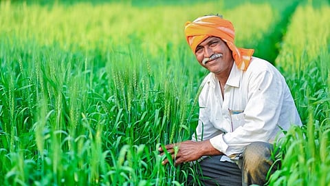 farmer