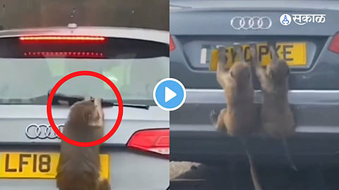 Viral Video