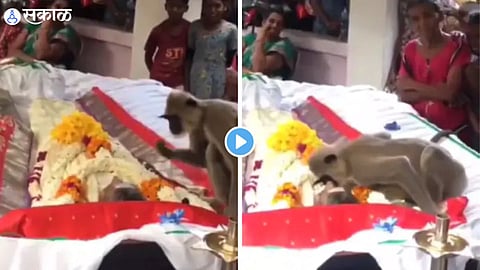 Viral Video