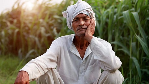 Farmer