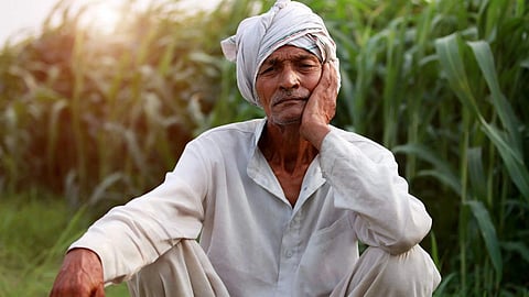 Farmer
