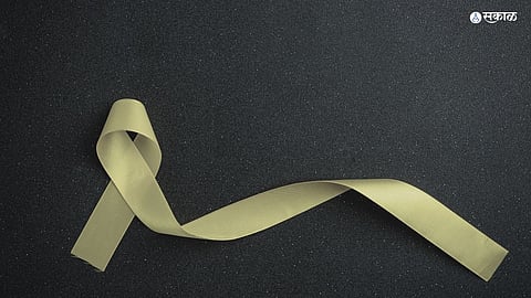 Nagpur news mother Suicide due to daughter behavior