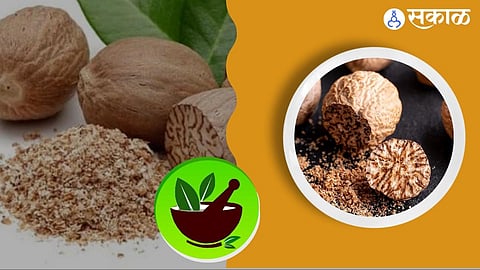 Nutmeg