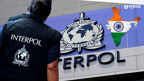 Interpol 
