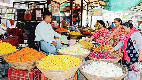 Diwali Festival News