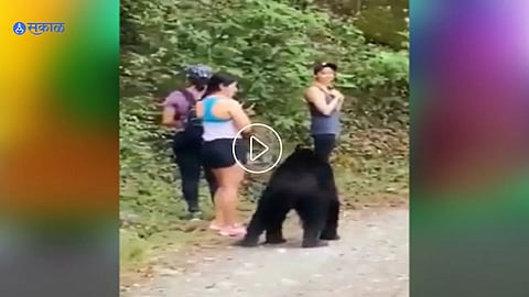 Viral Video 