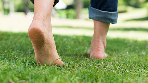Health Tips news
