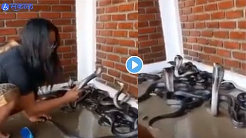 Viral Video