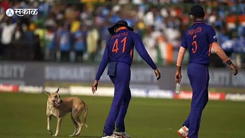 india vs south africa shreyas iyer ran away dog came in field during delhi cricket 