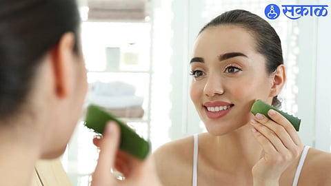Aloe vera Benefits 
