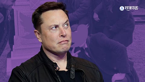 rip twitter trends as employees resign in hundreds after elon musk ultimatum trending memes viral  