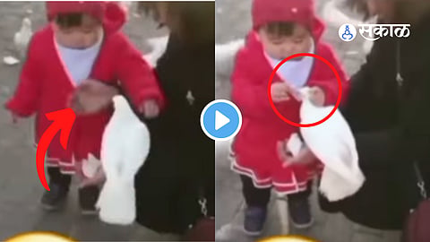 Viral Video