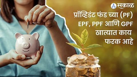 provident fund 