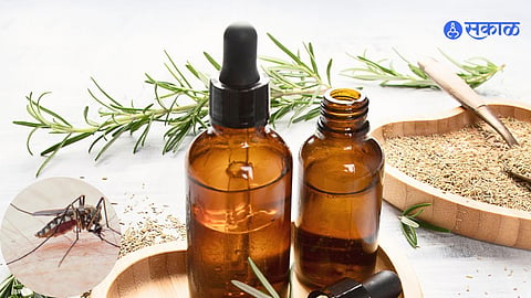  essential oils