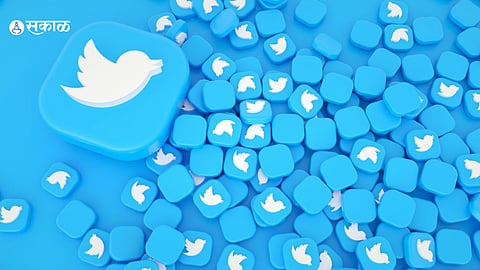 Twitter Bird