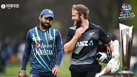 new zealand icc t20 world cup result records