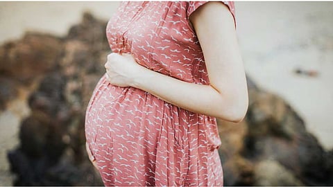 pregnancy 