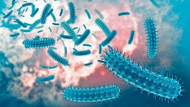 Infectious Disease