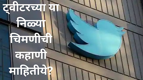 Twiter Bird