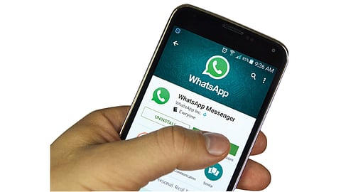 Whatsapp Data
