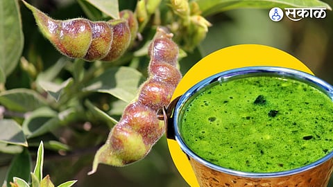 Vidarbha Special Recipe