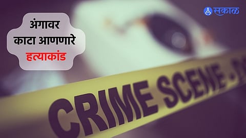 Shraddha Murder Case : निर्घृणतेचा कळस! कुणी बनवलं सूप तर, कुणी...; वाचा अंगावर काटा आणणारे हत्याकांड 