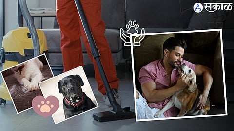 Pet Care Tips