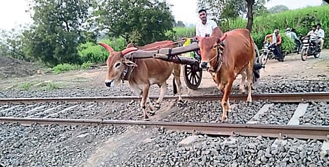 रेल्वे 