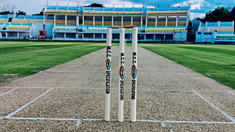 Cricket 