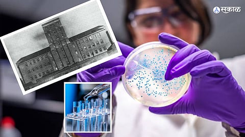Bacteria Collection