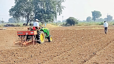Anand Patil and Agriculture Officer inspecting the damaged wheat crop
