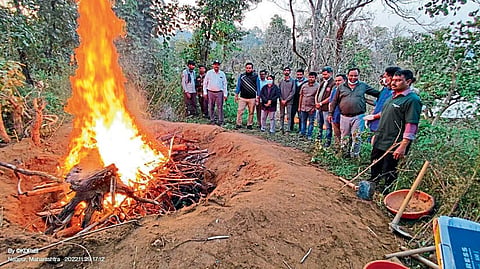 Pench Tiger Reserve